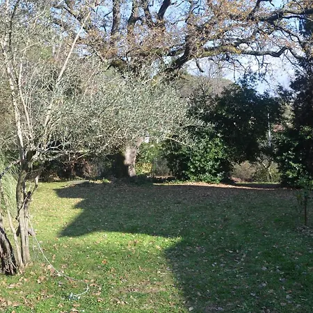 Il Giardino Secreto Apartment Manziana Exterior photo