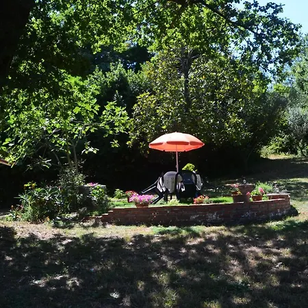 Il Giardino Secreto Apartment Manziana Exterior photo