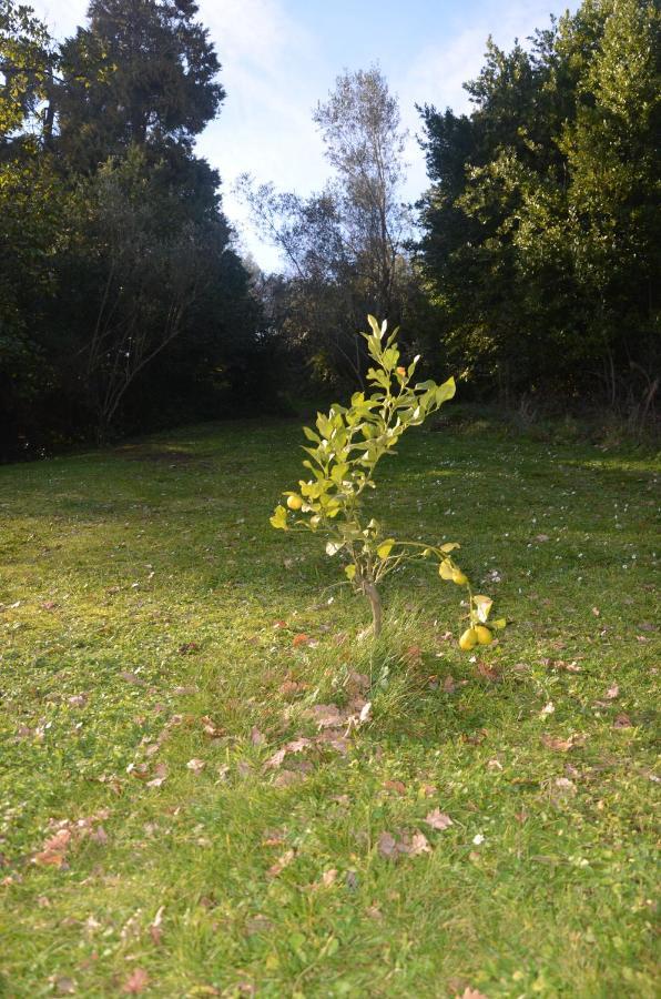 Il Giardino Secreto *