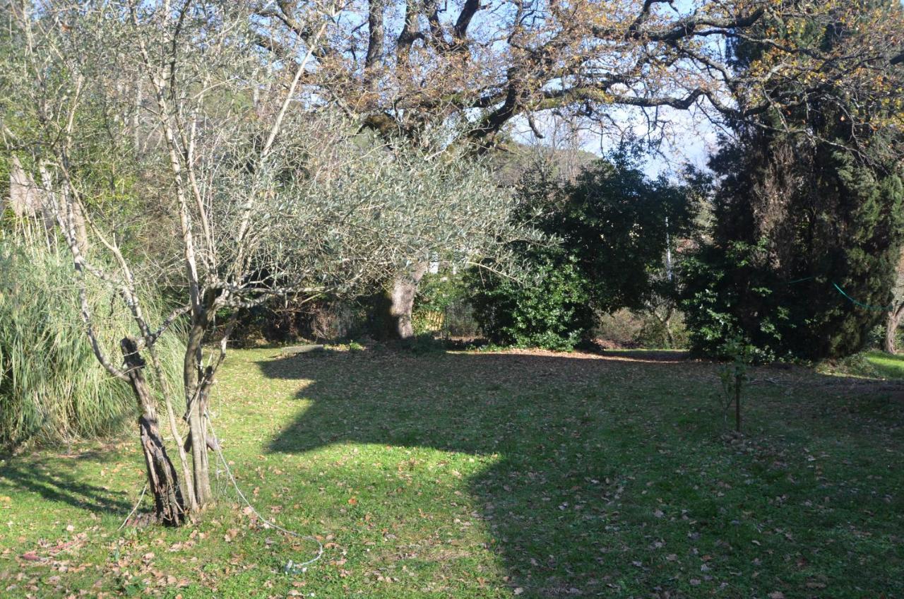 Il Giardino Secreto *